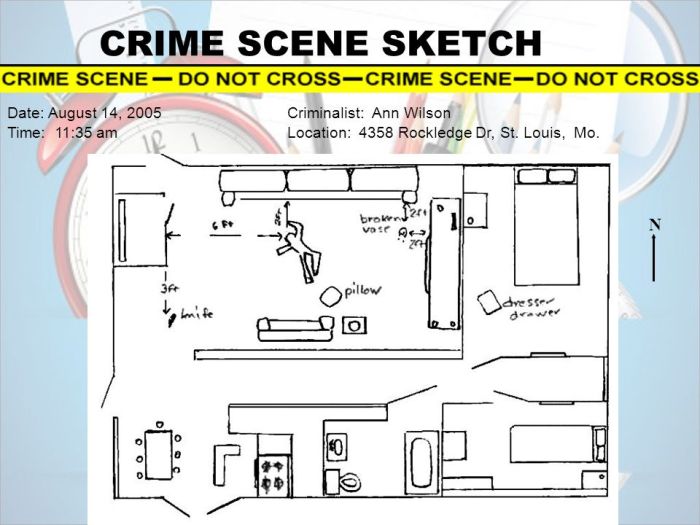 Types of sketches in crime scene