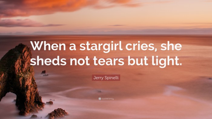 Stargirl quotes with page numbers