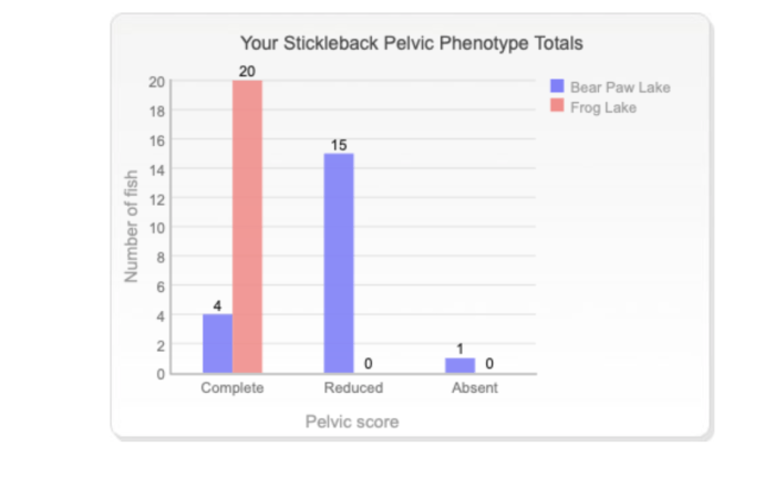 The virtual evolution stickleback lab