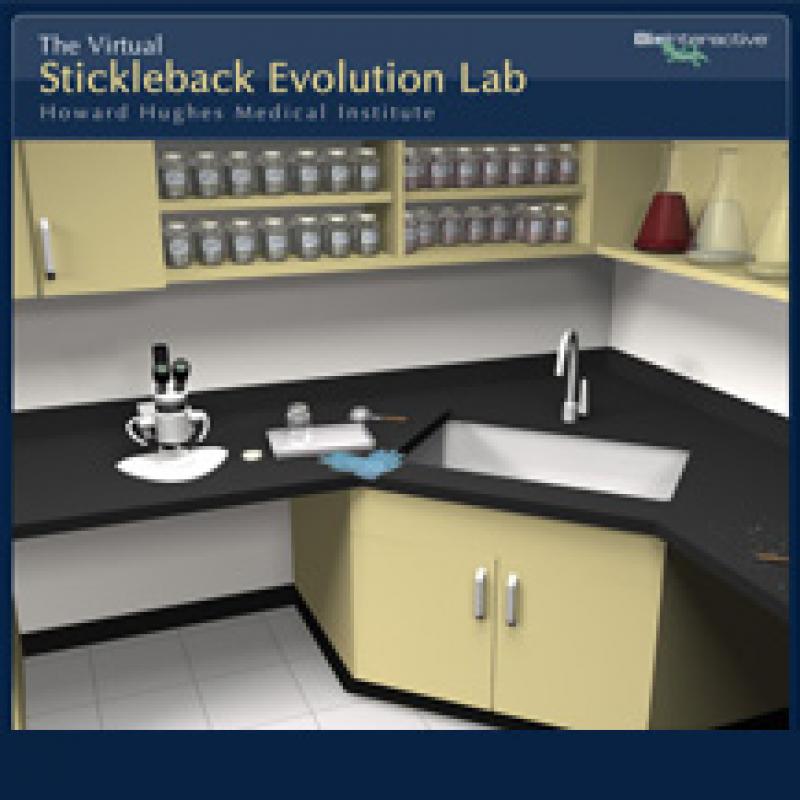 The virtual evolution stickleback lab