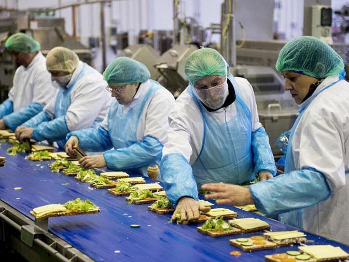 A food worker prepares chicken salad sandwiches