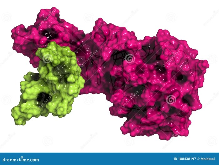 Lipid triglycerides fatty chylomicrons lipase acids lipoprotein vldl glycerol stored lipids chylomicron liver utilization libretexts