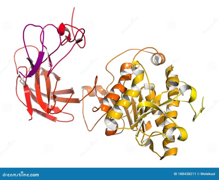 Prior to lipase digestion of triglycerides the solution would be